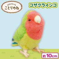 【コザクラインコ】ことりのね！小鳥シリーズ