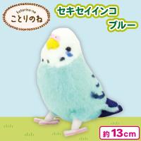 【セキセイインコ・ブルー】ことりのね！小鳥シリーズ