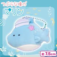 【いるか】つぶらな瞳のマリン