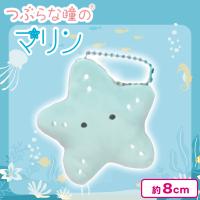 【ひとで:みんと】つぶらな瞳のマリン