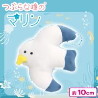 【かもめ】つぶらな瞳のマリン