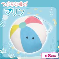 【びーちぼーる】つぶらな瞳のマリン