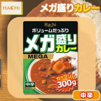 【中辛】メガ盛りカレー