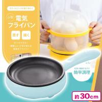 【ミント】 小型電気フライパン