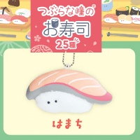 【はまち】つぶらな瞳のお寿司