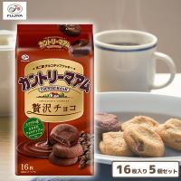 【贅沢チョコ】不二家　カントリーマアム【賞味期限：2024/12/30】