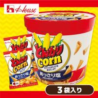 【あっさり塩】とんがりコーンバーレルBOX【賞味期限：2024/11/03】