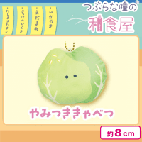 【やみつききゃべつ】つぶらな瞳の和食屋