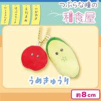 【うめきゅうり】つぶらな瞳の和食屋