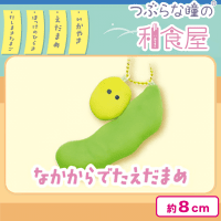 【なかからでたえだまめ】つぶらな瞳の和食屋