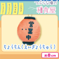 【ちょうちんえいぎょうちゅう】つぶらな瞳の和食屋