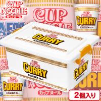 【カレー】カップヌードルコンテナBOX【賞味期限：2024/10/09】