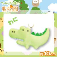 【わに】つぶらな瞳の動物園
