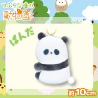 【ぱんだ】つぶらな瞳の動物園