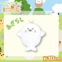【あざらし】つぶらな瞳の動物園
