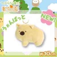 【うぉんばっと】つぶらな瞳の動物園