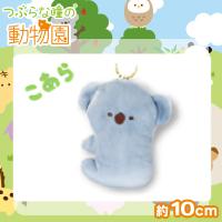 【こあら】つぶらな瞳の動物園