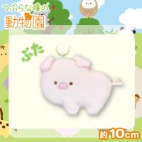 【ぶた】つぶらな瞳の動物園
