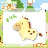 【きりん】つぶらな瞳の動物園