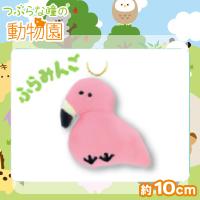 【ふらみんご】つぶらな瞳の動物園