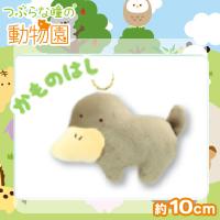 【かものはし】つぶらな瞳の動物園