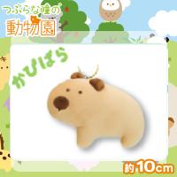 【かびぱら】つぶらな瞳の動物園