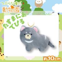 【たすまにあでびる】つぶらな瞳の動物園