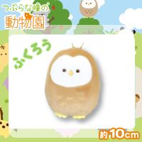 【ふくろう】つぶらな瞳の動物園