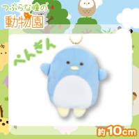 【ぺんぎん】つぶらな瞳の動物園
