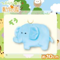 【ぞう】つぶらな瞳の動物園