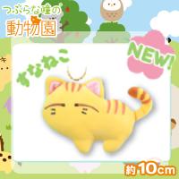 【すなねこ】つぶらな瞳の動物園
