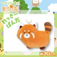 【れっさーぱんだ】つぶらな瞳の動物園