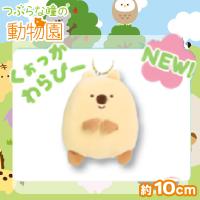 【くぉっかわらびー】つぶらな瞳の動物園