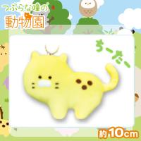 【ちーたー】つぶらな瞳の動物園