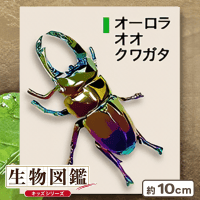 生物図鑑リアルカブトクワガタ キラキラアソート | オンライン