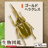 【ゴールドヘラクレス】生物図鑑リアルアーマーインセクト