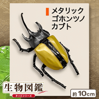 【メタリックゴホンツノカブト】生物図鑑リアルアーマーインセクト