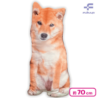 【柴犬】リアル犬クッション