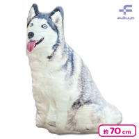 【シベリアン・ハスキー】リアル犬クッション