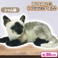 【シャム】リアルアニマル猫うつ伏せぬいぐるみ