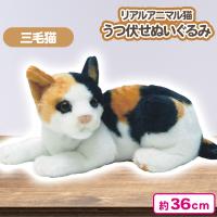 【三毛】リアルアニマル猫うつ伏せぬいぐるみ