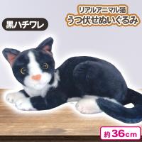 【黒ハチワレ】リアルアニマル猫うつ伏せぬいぐるみ