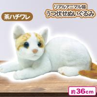 【茶ハチワレ】リアルアニマル猫うつ伏せぬいぐるみ