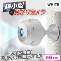 【ホワイト】超小型見守りカメラ