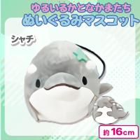 【シャチ】ゆるいるかとなかまたちぬいぐるみマスコット