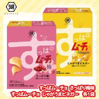 【すっぱムーチョ】湖池屋ミドルBOX【賞味期限：2025/03/31】