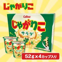 【サラダ味】じゃがりこ4P BIG BOX【賞味期限：2024/11/27】