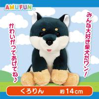【くろりん】くったり柴犬日本晴れ