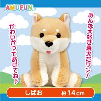 【しばお】くったり柴犬日本晴れ