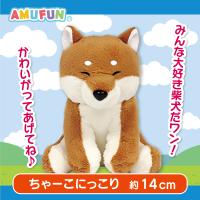 【ちゃーこにっこり】くったり柴犬日本晴れ